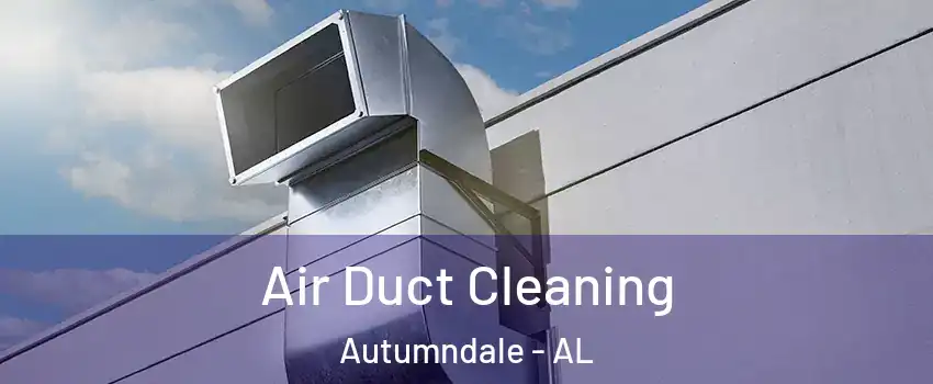 Air Duct Cleaning Autumndale - AL