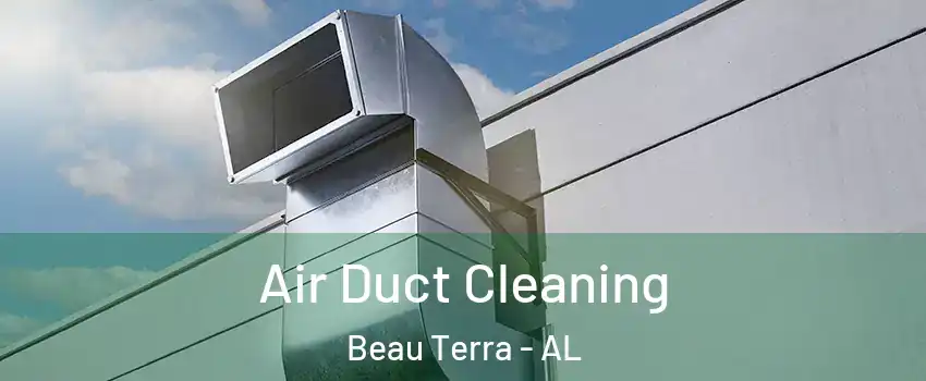 Air Duct Cleaning Beau Terra - AL