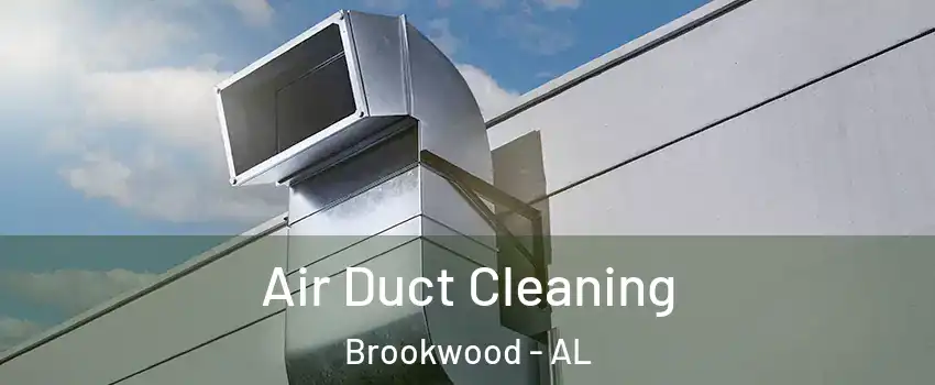 Air Duct Cleaning Brookwood - AL