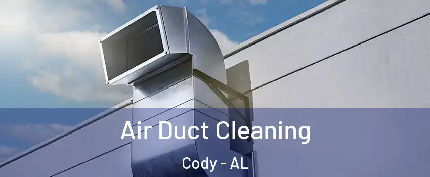 Air Duct Cleaning Cody - AL