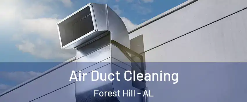 Air Duct Cleaning Forest Hill - AL