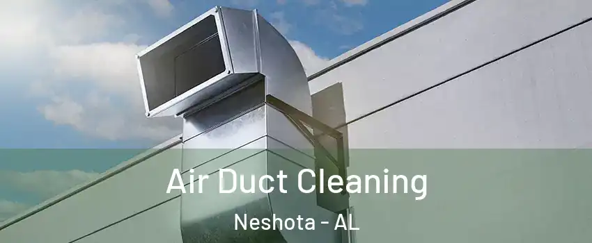 Air Duct Cleaning Neshota - AL
