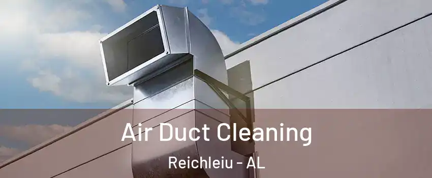 Air Duct Cleaning Reichleiu - AL