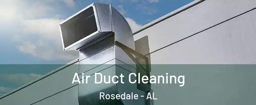 Air Duct Cleaning Rosedale - AL