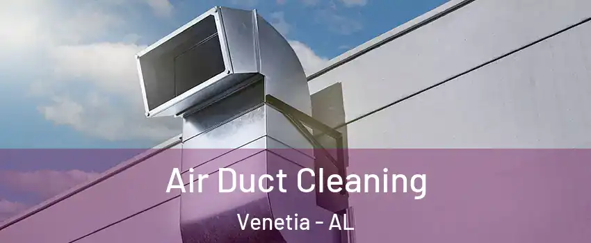 Air Duct Cleaning Venetia - AL