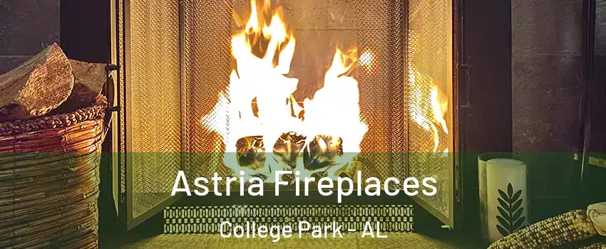 Astria Fireplaces College Park - AL