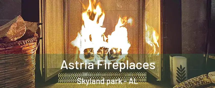 Astria Fireplaces Skyland park - AL