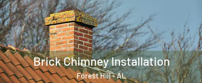 Brick Chimney Installation Forest Hill - AL