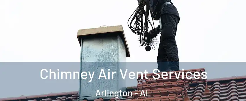 Chimney Air Vent Services Arlington - AL