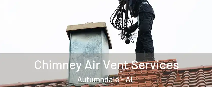 Chimney Air Vent Services Autumndale - AL