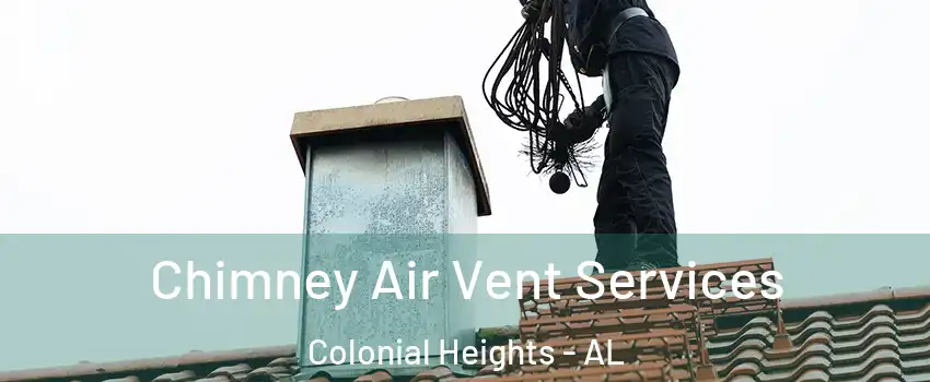 Chimney Air Vent Services Colonial Heights - AL