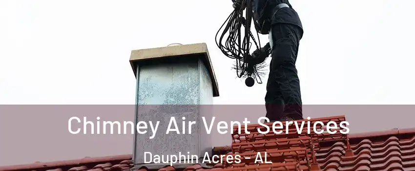 Chimney Air Vent Services Dauphin Acres - AL