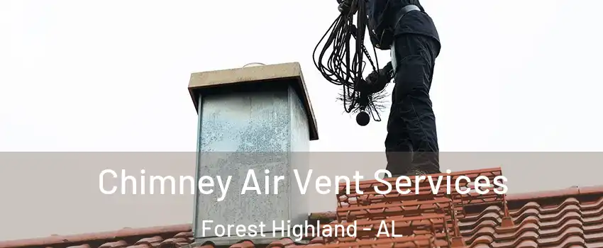Chimney Air Vent Services Forest Highland - AL