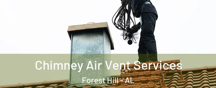 Chimney Air Vent Services Forest Hill - AL