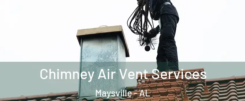 Chimney Air Vent Services Maysville - AL