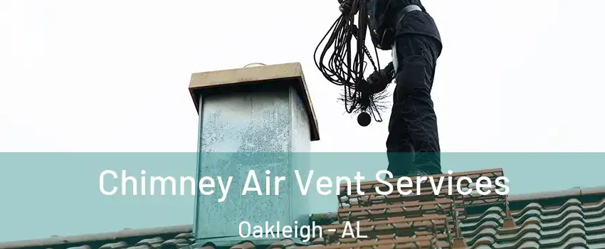 Chimney Air Vent Services Oakleigh - AL