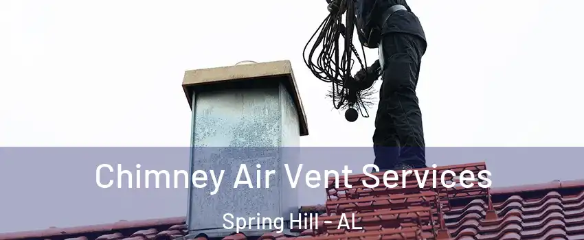 Chimney Air Vent Services Spring Hill - AL