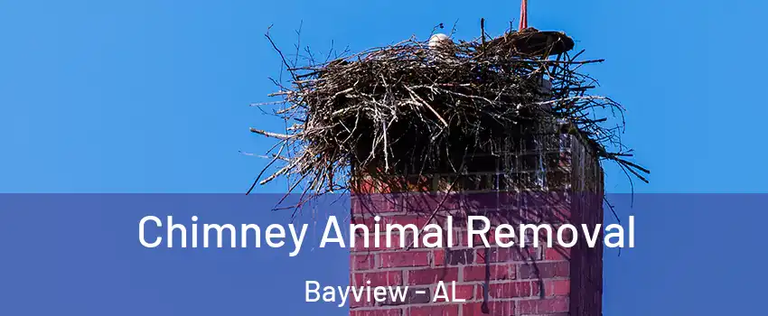 Chimney Animal Removal Bayview - AL