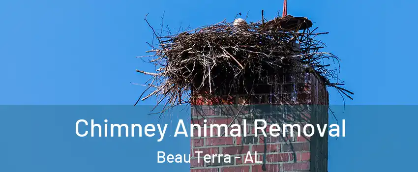 Chimney Animal Removal Beau Terra - AL