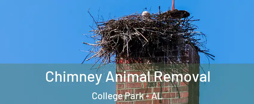 Chimney Animal Removal College Park - AL