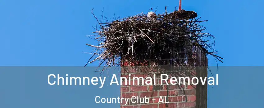Chimney Animal Removal Country Club - AL
