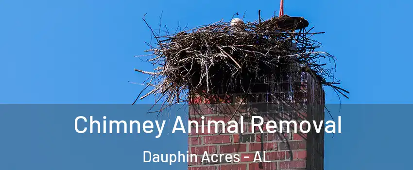 Chimney Animal Removal Dauphin Acres - AL