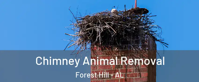 Chimney Animal Removal Forest Hill - AL