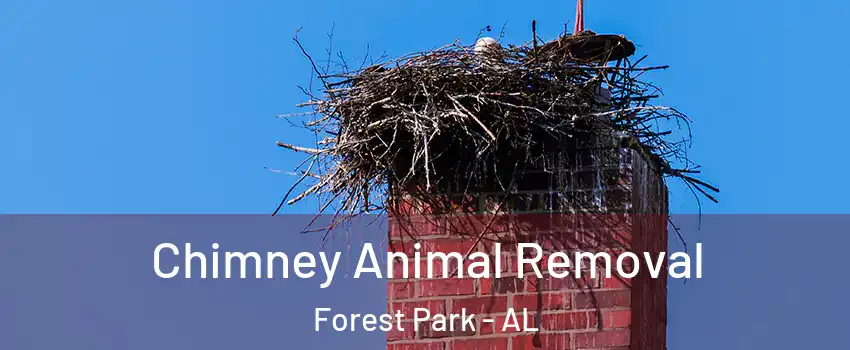 Chimney Animal Removal Forest Park - AL