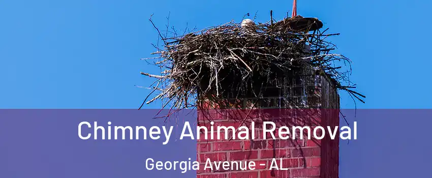 Chimney Animal Removal Georgia Avenue - AL