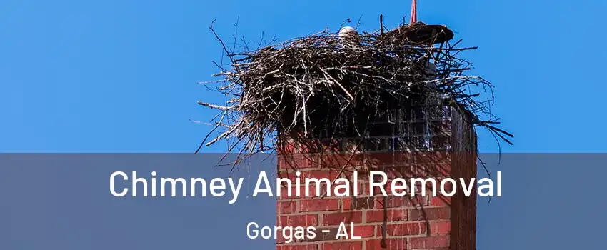 Chimney Animal Removal Gorgas - AL
