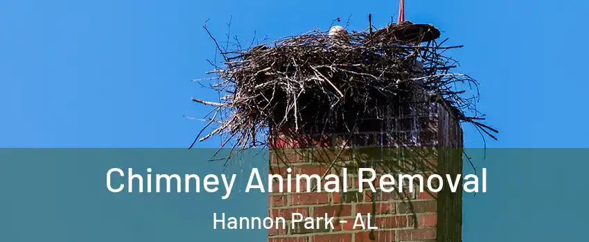 Chimney Animal Removal Hannon Park - AL