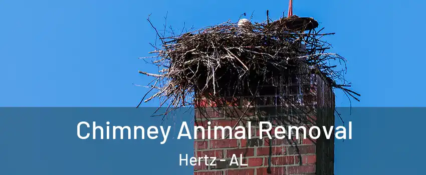 Chimney Animal Removal Hertz - AL