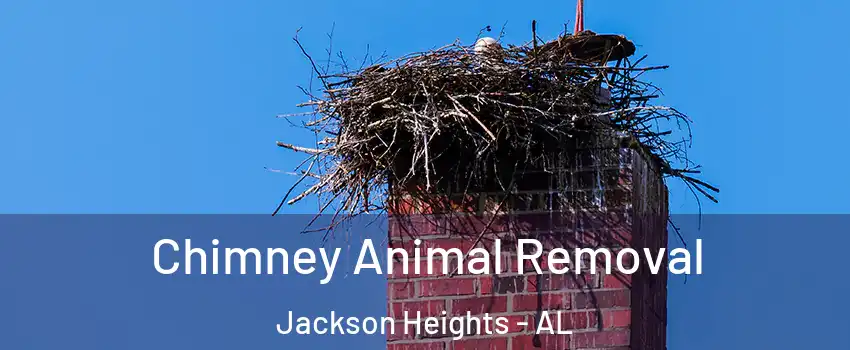 Chimney Animal Removal Jackson Heights - AL