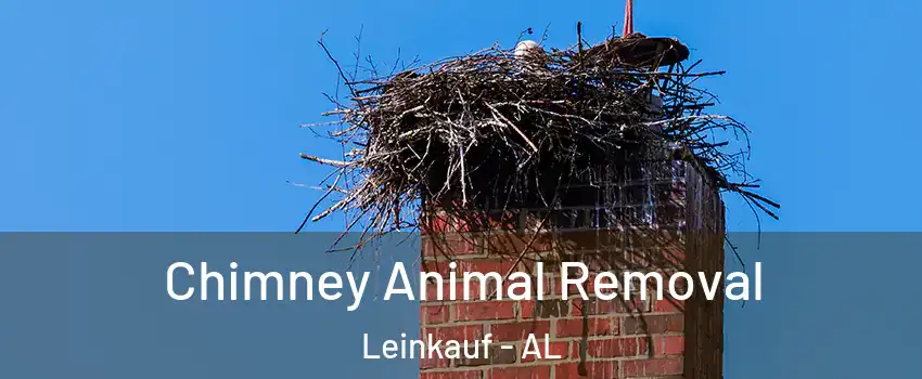 Chimney Animal Removal Leinkauf - AL