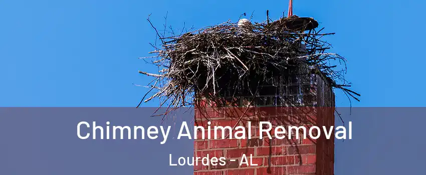 Chimney Animal Removal Lourdes - AL