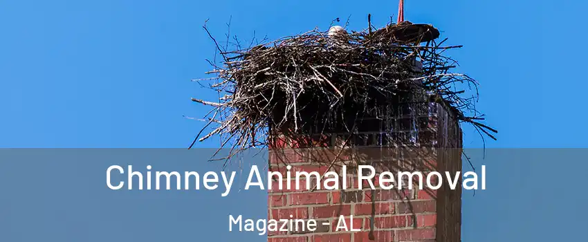 Chimney Animal Removal Magazine - AL