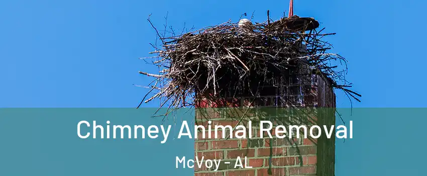 Chimney Animal Removal McVoy - AL