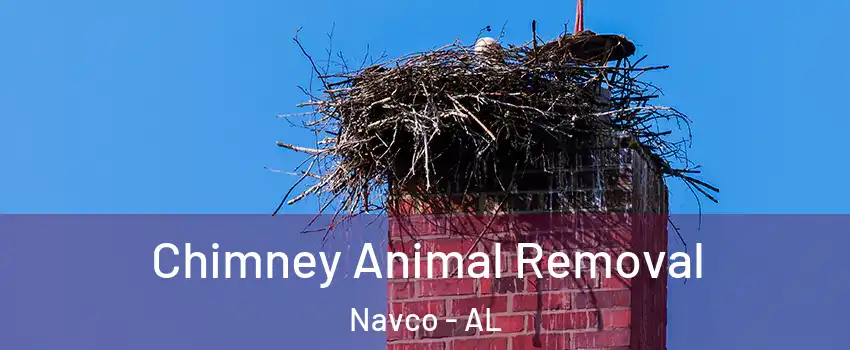 Chimney Animal Removal Navco - AL