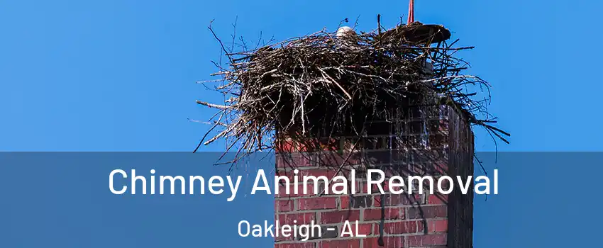 Chimney Animal Removal Oakleigh - AL