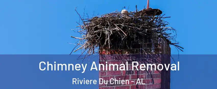 Chimney Animal Removal Riviere Du Chien - AL