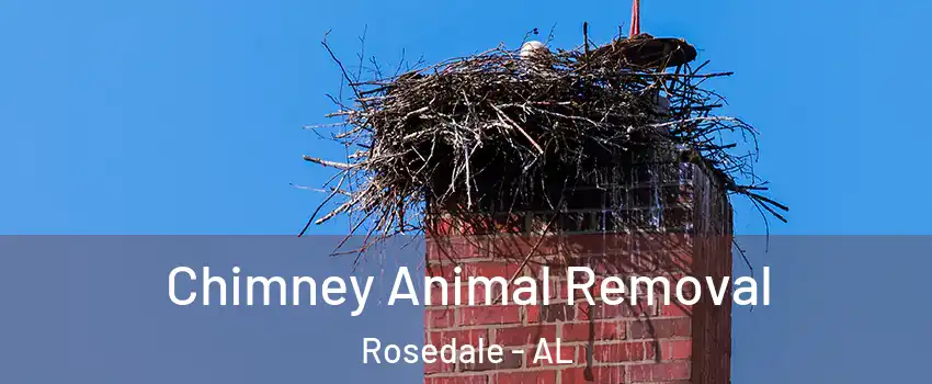 Chimney Animal Removal Rosedale - AL