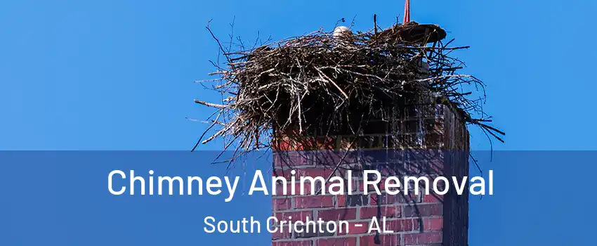 Chimney Animal Removal South Crichton - AL