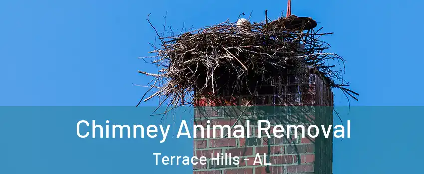 Chimney Animal Removal Terrace Hills - AL