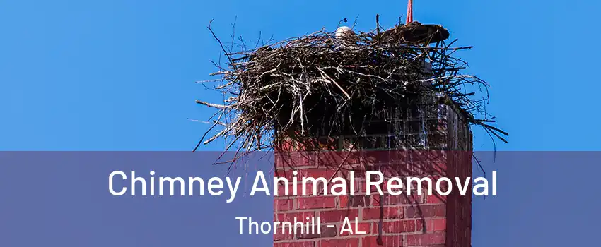 Chimney Animal Removal Thornhill - AL