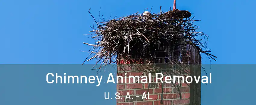 Chimney Animal Removal U. S. A. - AL