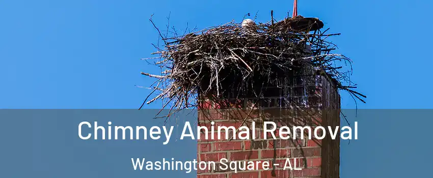 Chimney Animal Removal Washington Square - AL