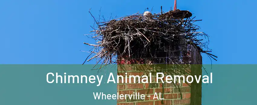 Chimney Animal Removal Wheelerville - AL