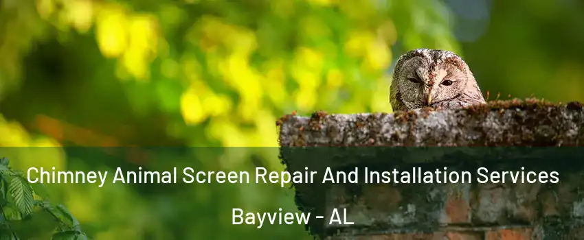 Chimney Animal Screen Repair And Installation Services Bayview - AL