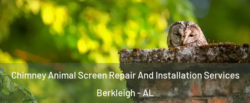 Chimney Animal Screen Repair And Installation Services Berkleigh - AL