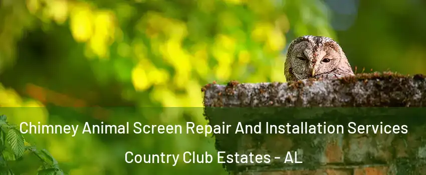 Chimney Animal Screen Repair And Installation Services Country Club Estates - AL